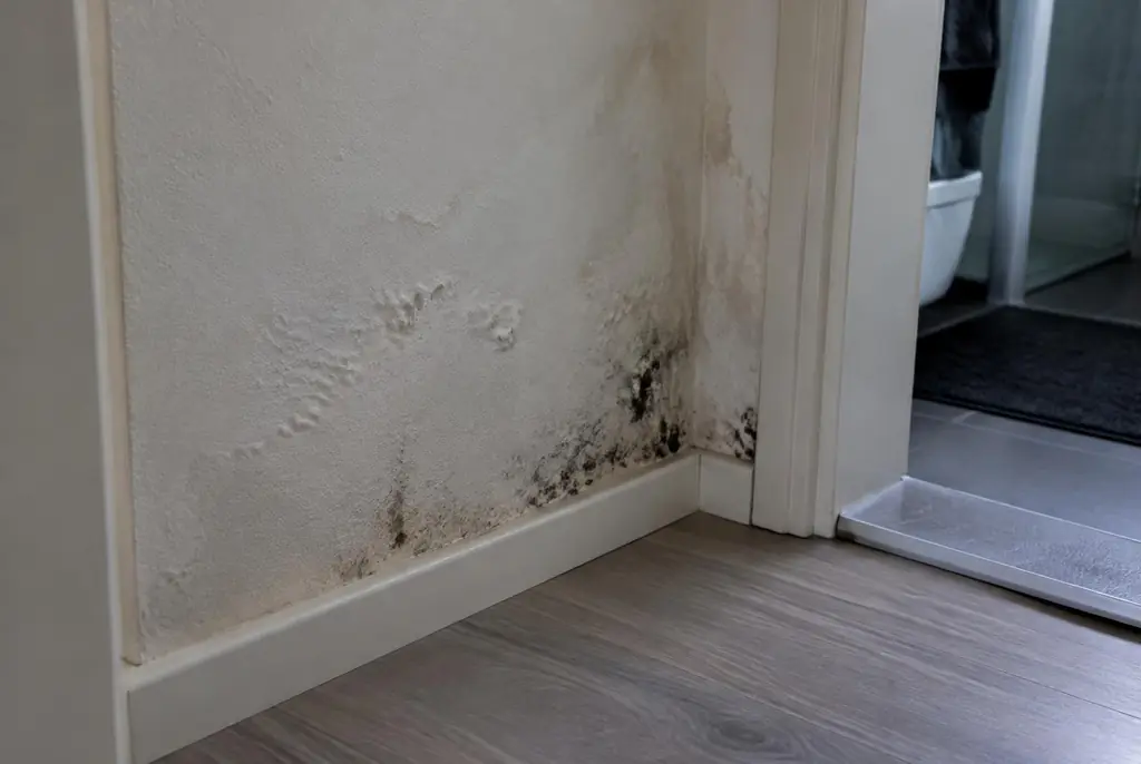 Lekdetectie Ameide – vochtplek met schimmel op een muur